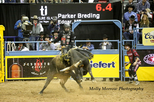 2015 NFR