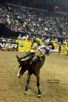 2010 Bareback contestant is Joe Gunderson, from Agar, SD on DH Cattle's Working Girl, by Molly Morrow