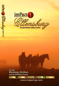 imPact 2009 cover